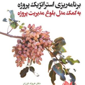 کتاب برنامه ریزی استراتژیک پروژه به کمک مدل بلوغ مدیریت پروژه هرولد کرنز ترجمه محمد اعرابی